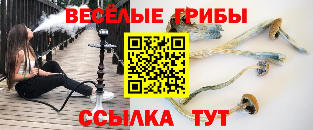 Псилоцибиновые грибы Magic Shrooms  Вход с VPN  Вятские Поляны 